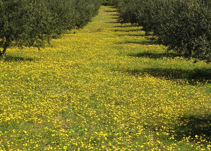 Mobile Homes Plava Laguna *