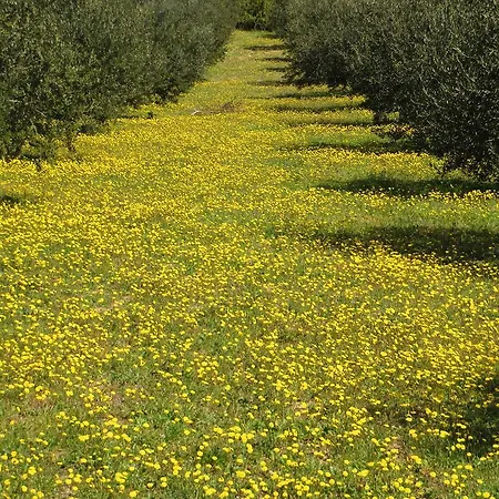 Mobile Homes Plava Laguna *